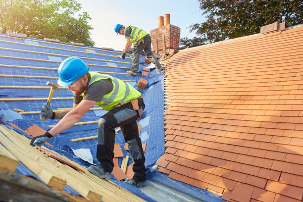 Best Roof Maintenance and Cleaning  in New Hope, MS